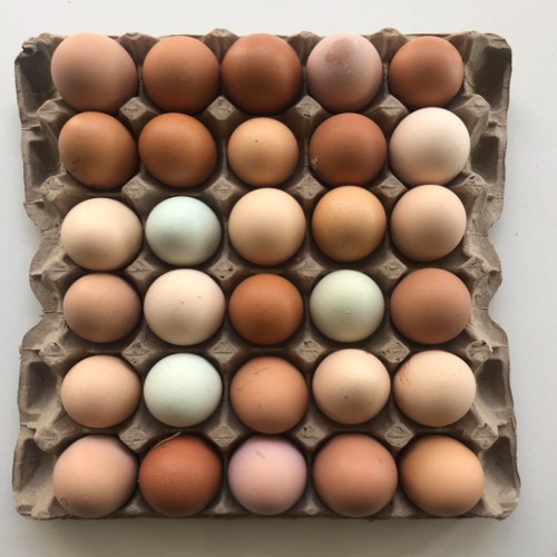 HUEVOS x 30